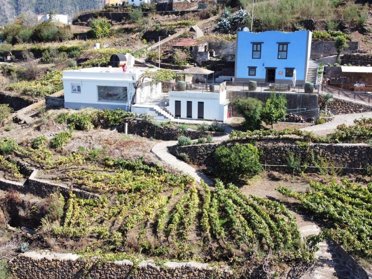 Ek Teide Finca El Milagro La Orotava Exterior photo