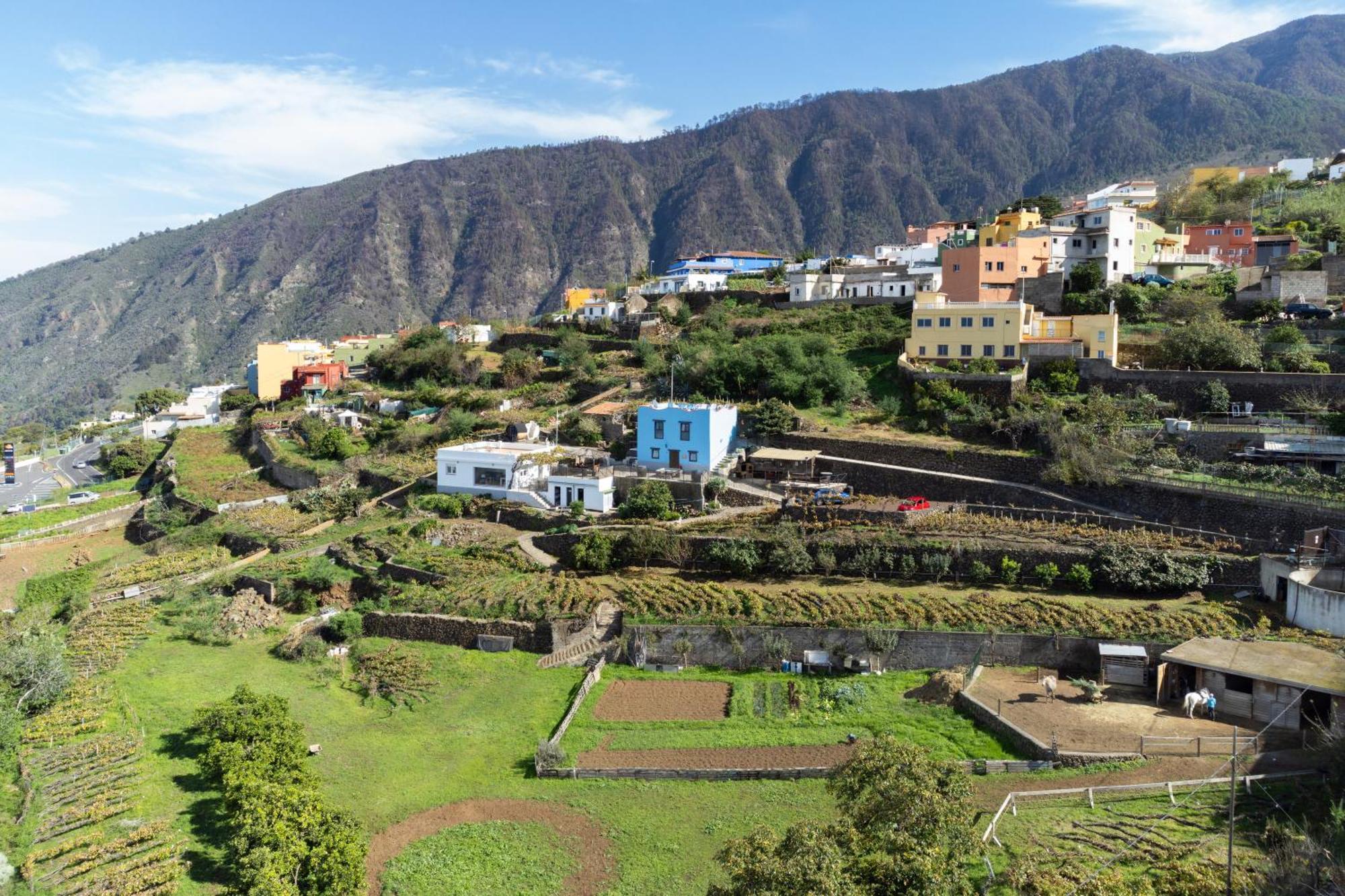 Ek Teide Finca El Milagro La Orotava Exterior photo