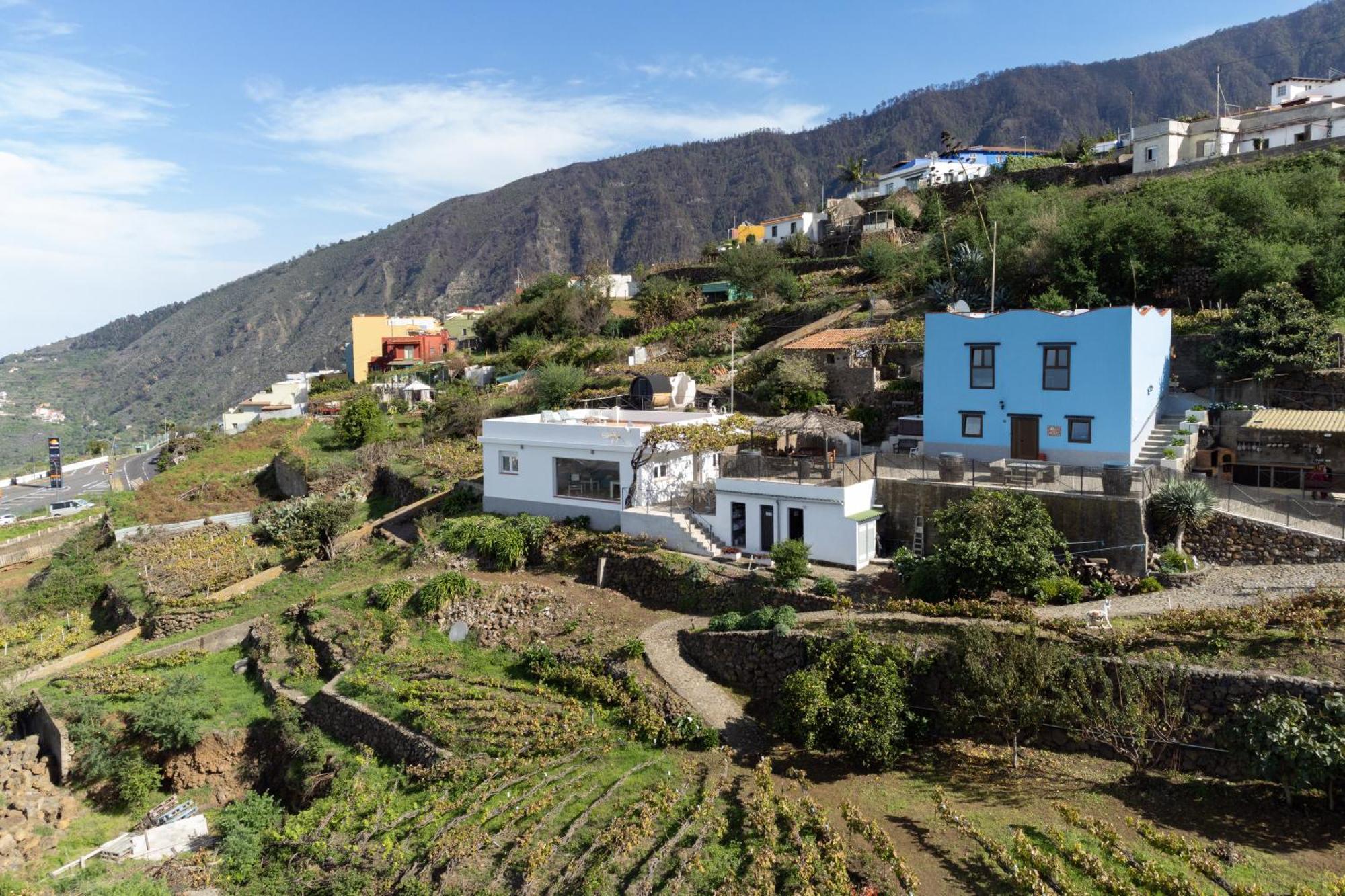 Ek Teide Finca El Milagro La Orotava Exterior photo