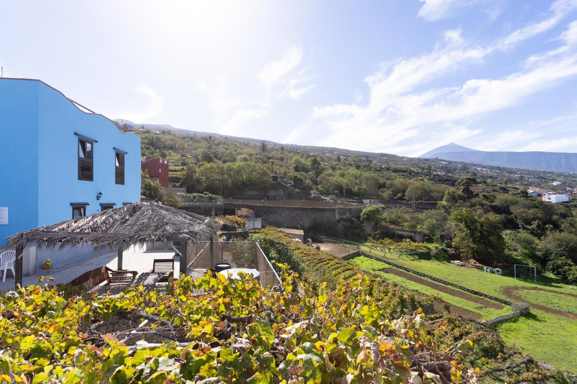 Ek Teide Finca El Milagro La Orotava Exterior photo